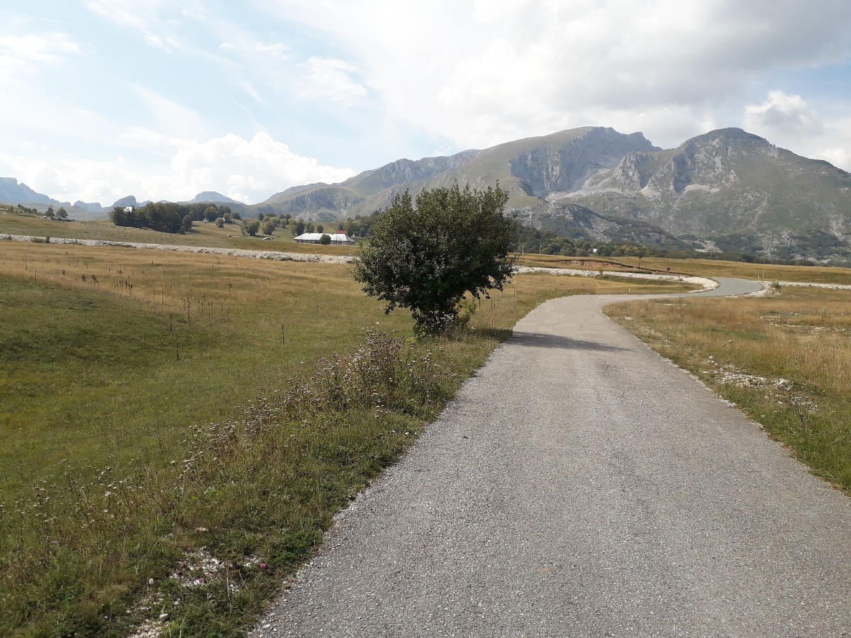 Žabljak’ta, Restoran Izvor Yakınında 2.960 m² Arsa – m² Fiyatı 10 €